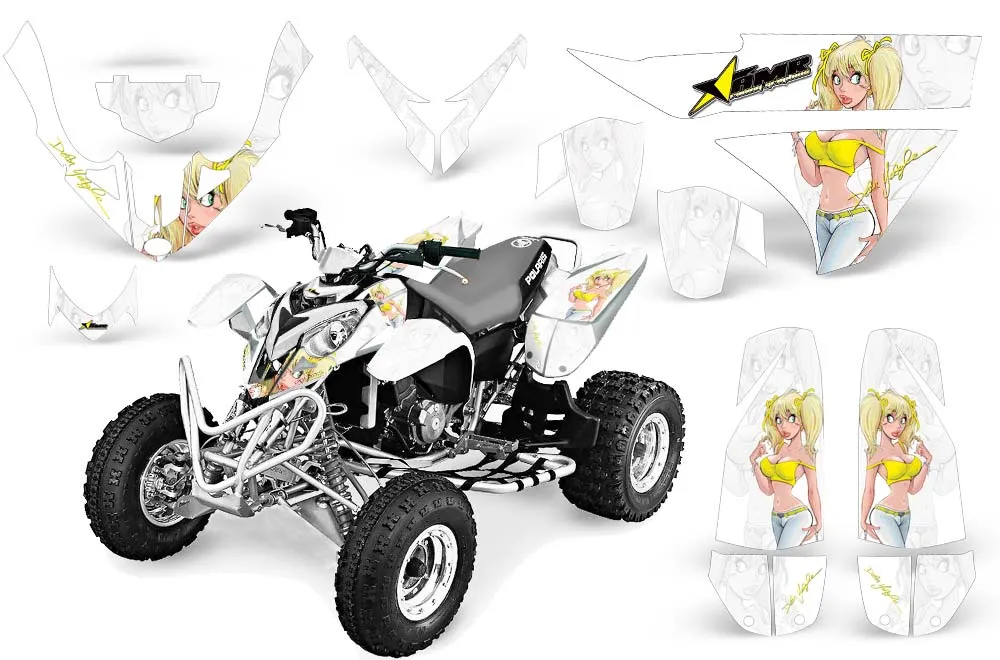 Polaris Predator 500 ATV Custom Graphic Kit - 2002-2011