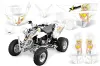 Polaris Predator 500 ATV Custom Graphic Kit - 2002-2011