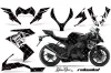 Kawasaki ZX10 Ninja Custom Graphic Kit - 2008-2009