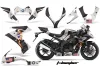 Kawasaki ZX10 Ninja Custom Graphic Kit - 2008-2009