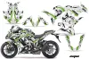 Kawasaki ZX1000 Ninja Custom Graphic Kit - 2010-2013