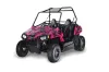 Polaris RZR 170 Graphic Kit - All Years Camoplate Pink