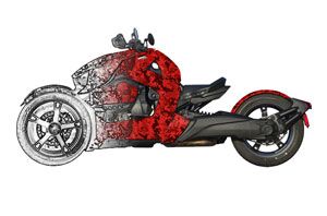 Can Am BRP Ryker Graphic Kit