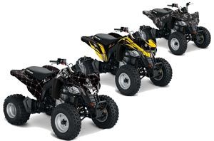 Can Am Bombardier DS250 ATV Graphic Kit