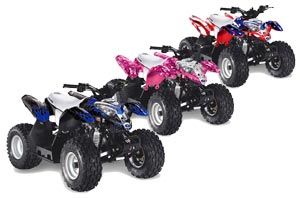 Polaris Predator 50 ATV Graphic Kit