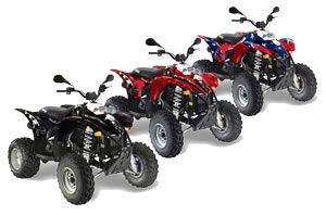 Polaris Trailblazer 350 ATV Graphic Kit