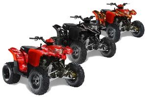 Polaris Phoenix 200 ATV Graphic Kit