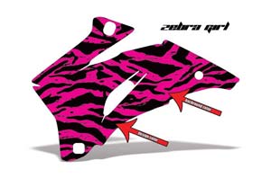 Zebra Girl Design