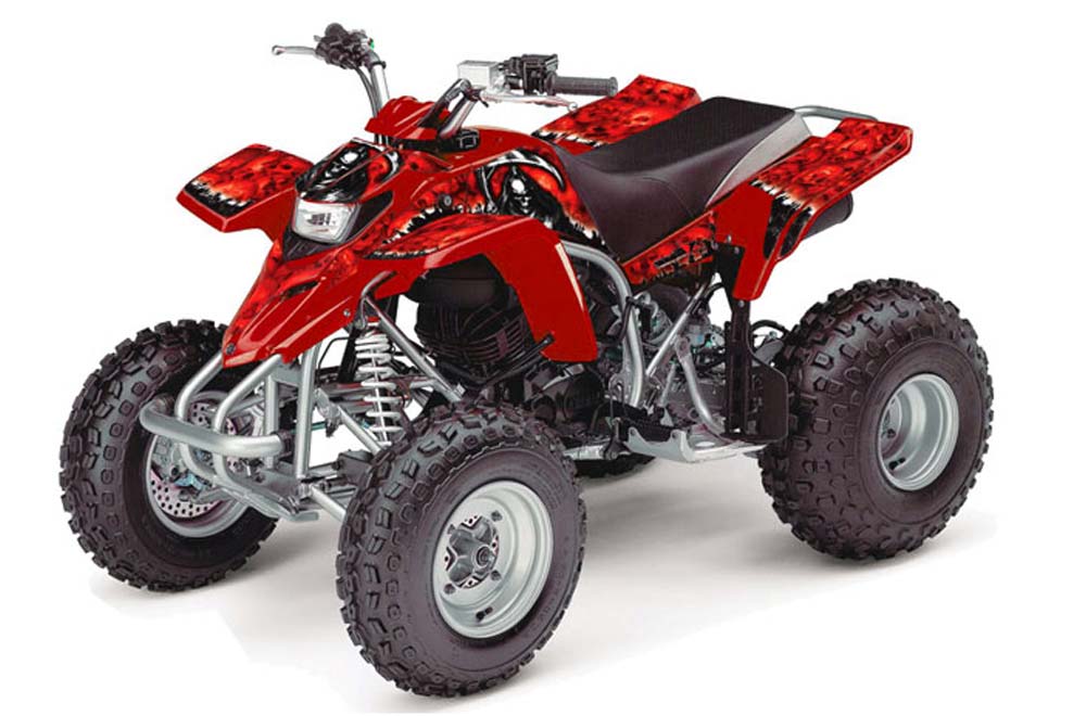 thumbnail image 2 of BH-Motor New Upper And Lower Chain Roller Black Kit For Yamaha Blaster 200 YFS200 YfS 200 1988-2006 Warrior 350 YFM350 1987-2004 2 of 10