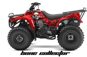 Kawasaki Bayou 220 / 250 / 300 ATV Graphic Kit