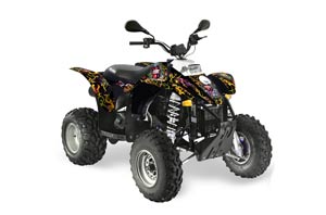 Polaris Scrambler / Trailblazer 500 ATV Graphic Kit