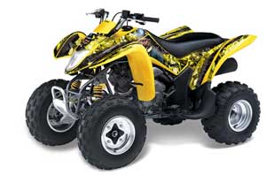 Suzuki LTZ 250 ATV Graphic Kit