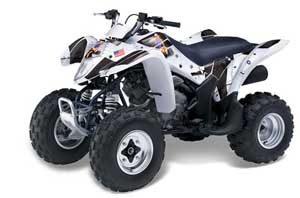 Suzuki LTZ 250 ATV Graphic Kit