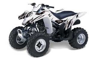 Suzuki LTZ 250 ATV Graphic Kit