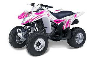 Suzuki LTZ 250 ATV Graphic Kit