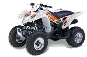 Suzuki LTZ 250 ATV Graphic Kit