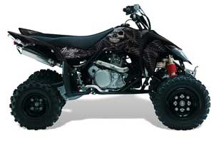 Suzuki LTR 450 ATV Graphic Kit