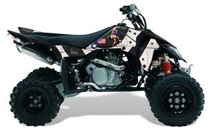 Suzuki LTR 450 ATV Graphic Kit