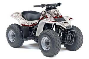 Suzuki QuadSport LT 80 ATV Graphic Kit