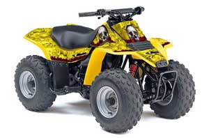 Suzuki QuadSport LT 80 ATV Graphic Kit