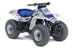 Suzuki QuadSport LT 80 ATV Graphic Kit
