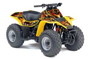 Suzuki QuadSport LT 80 ATV Graphic Kit