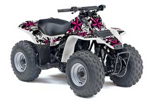 Suzuki QuadSport LT 80 ATV Graphic Kit