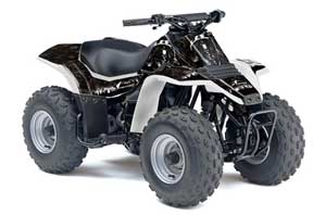 Suzuki QuadSport LT 80 ATV Graphic Kit