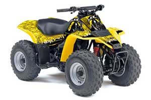 Suzuki QuadSport LT 80 ATV Graphic Kit