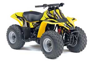Suzuki QuadSport LT 80 ATV Graphic Kit