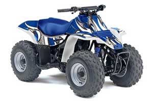 Suzuki QuadSport LT 80 ATV Graphic Kit