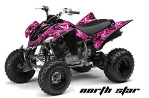 Yamaha Raptor 350 ATV Graphic Kit - 2004-2014 Northstar Pink