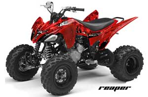 Yamaha Raptor 250 ATV Graphic Kit