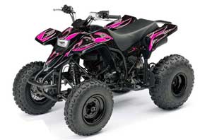 Yamaha Blaster YFS200 ATV Graphic Kit