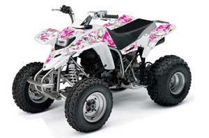 Yamaha Blaster YFS200 ATV Graphic Kit