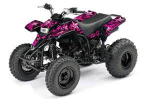 Yamaha Blaster YFS200 ATV Graphic Kit
