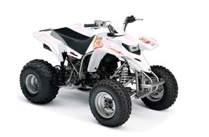 Yamaha Blaster YFS200 ATV Graphic Kit