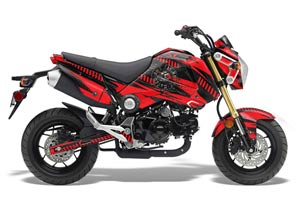 Honda Grom 125 Dirt Bike Graphic Kit