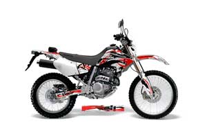 Honda XR250 SM Dirt Bike Graphic Kit - 2003-2005 Expo Red