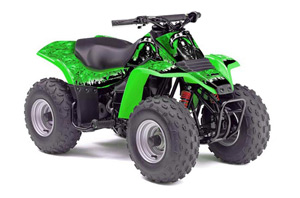 Kawasaki KFX 80 ATV Graphic Kit