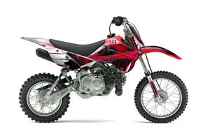 Kawasaki KLX110 Dirt Bike Graphic Kit - 2010-2016 Carbon X Red