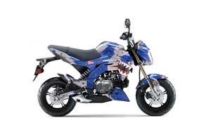 Kawasaki Z125 Pro Dirt Bike Graphic Kit