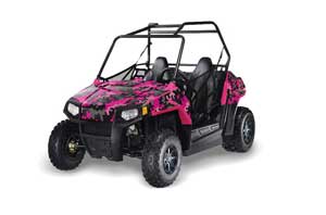 Polaris RZR 170 Graphic Kit