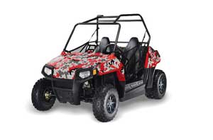 Polaris RZR 170 Graphic Kit