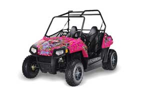 Polaris RZR 170 Graphic Kit