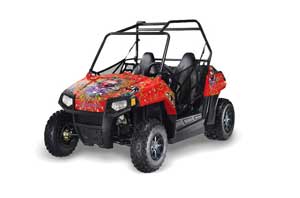 Polaris RZR 170 Graphic Kit