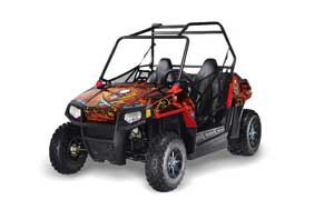 Polaris RZR 170 Graphic Kit