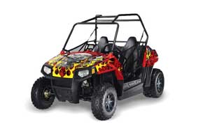 Polaris RZR 170 Graphic Kit