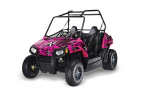 Polaris RZR 170 Graphic Kit