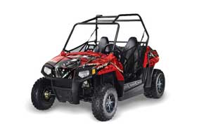 Polaris RZR 170 Graphic Kit